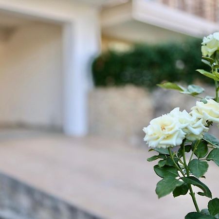 Μικρό Διαμέρισμα Της Αγγελικής Με Αυλή Και Parking كالاماتا المظهر الخارجي الصورة