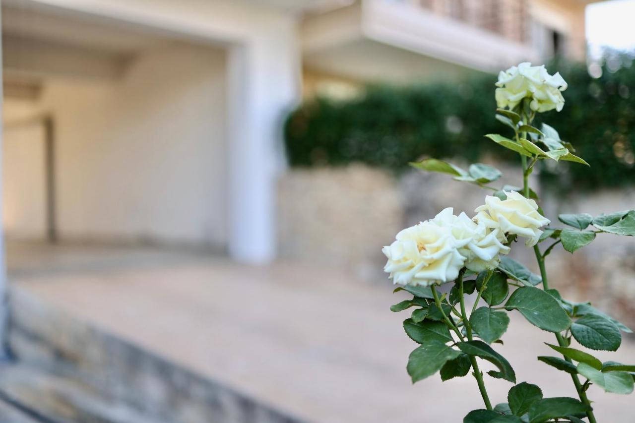 Μικρό Διαμέρισμα Της Αγγελικής Με Αυλή Και Parking كالاماتا المظهر الخارجي الصورة